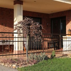 Wrought iron terrace railings